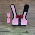 thumbnail image 1 of Pet Mesh Soft Harness With Leash Small Animal Vest For Hamster Rabbit Bunny，pink, 1 of 4