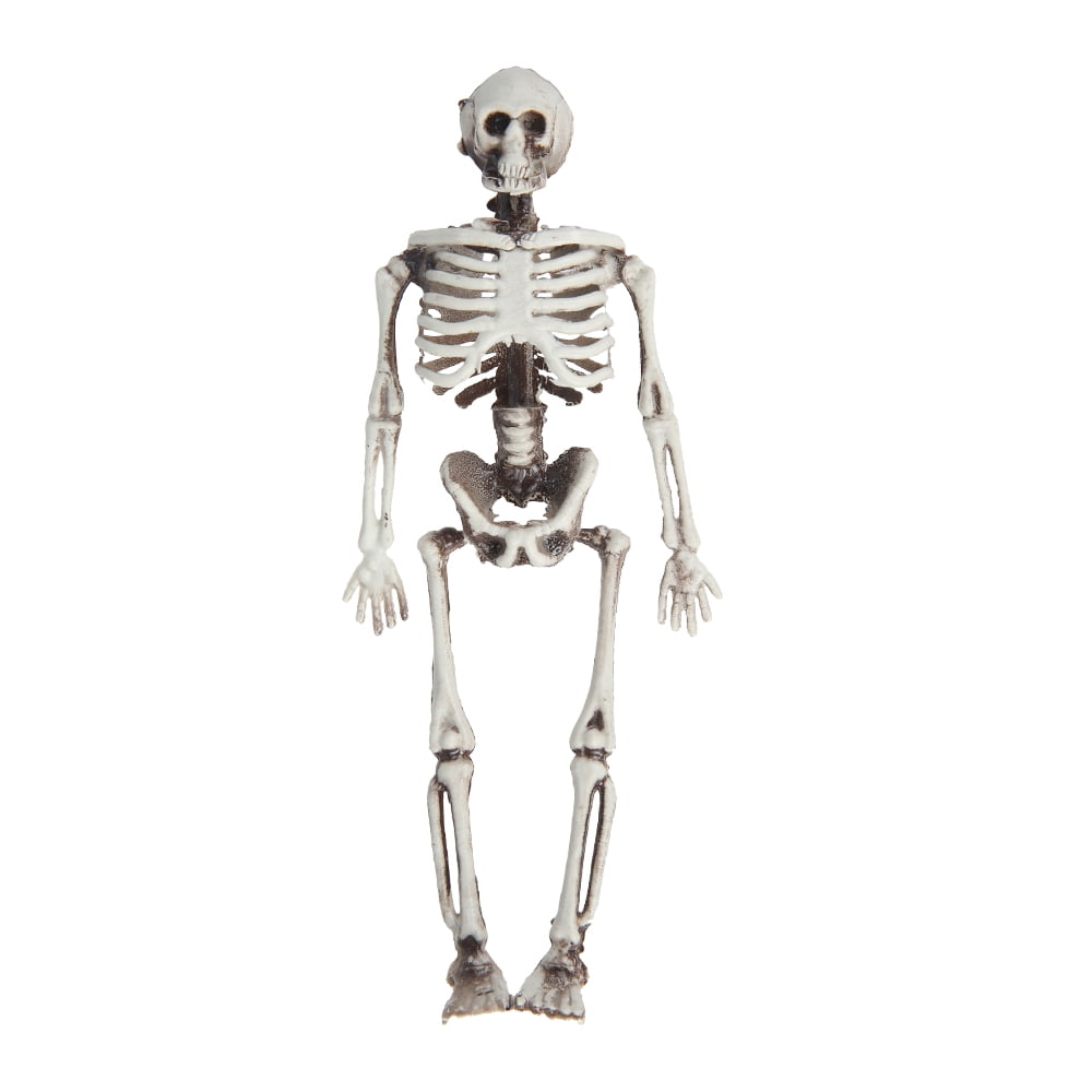 Toorise Halloween Skeleton Model High Simulation Human Skeleton Decoration for Horror Theme