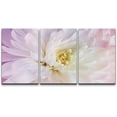 thumbnail image 3 of PixonSign Canvas Print Wall Art Set Blossoming Pink & Purple Carnation Floral Plants Photography Realism Southwest Closeup Relax/Calm Multicolor Ultra for Living Room, Bedroom, Office - 16"x24"x3, 3 of 5