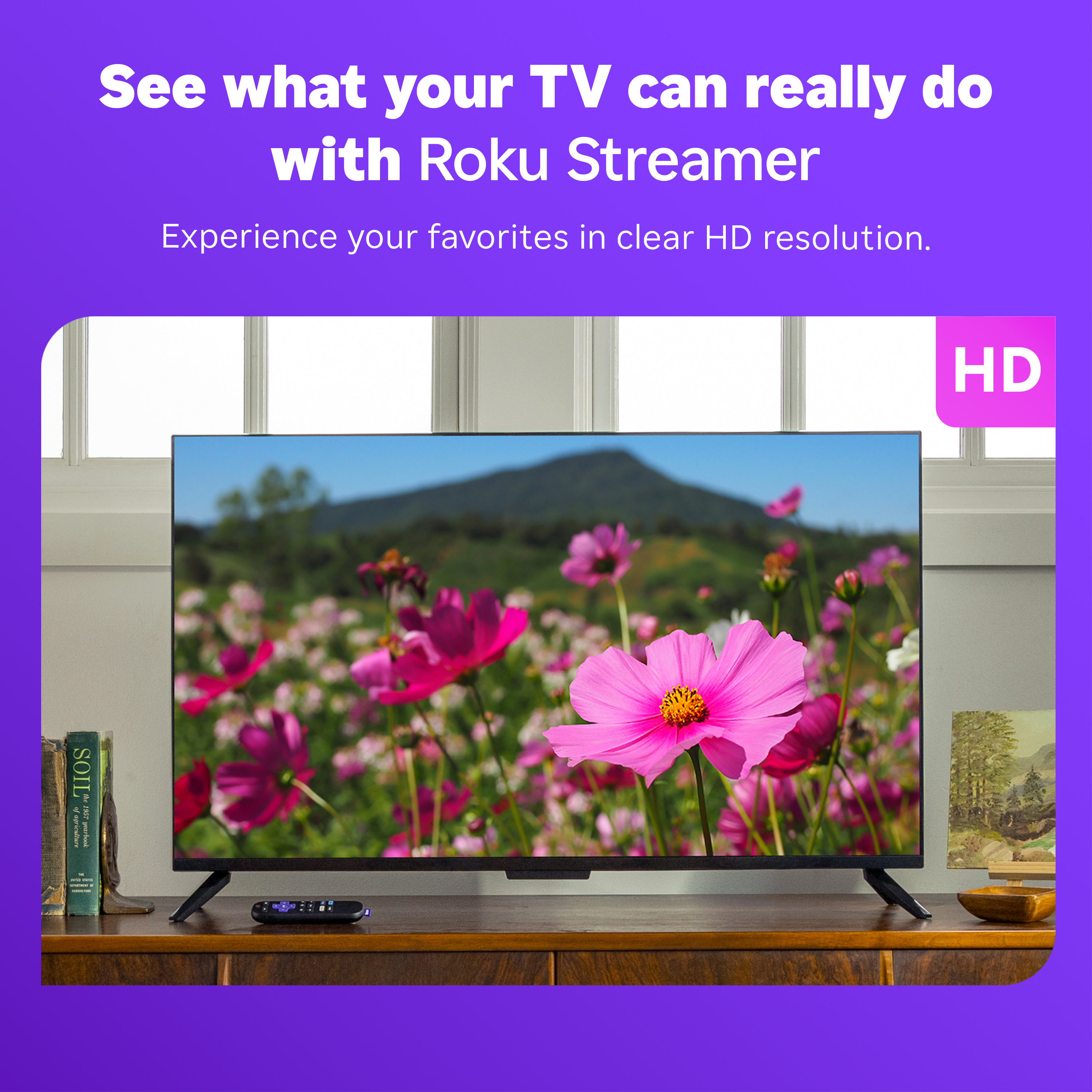 Roku Streamer: Dispositivo de transmisión HD para TV con control remoto por voz - TV gratis y en vivo 3