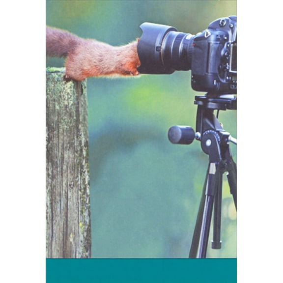 Recycled Paper Greetings Squirrel Sticking Head into Camera Lens Cover Humorous : Funny Birthday Card