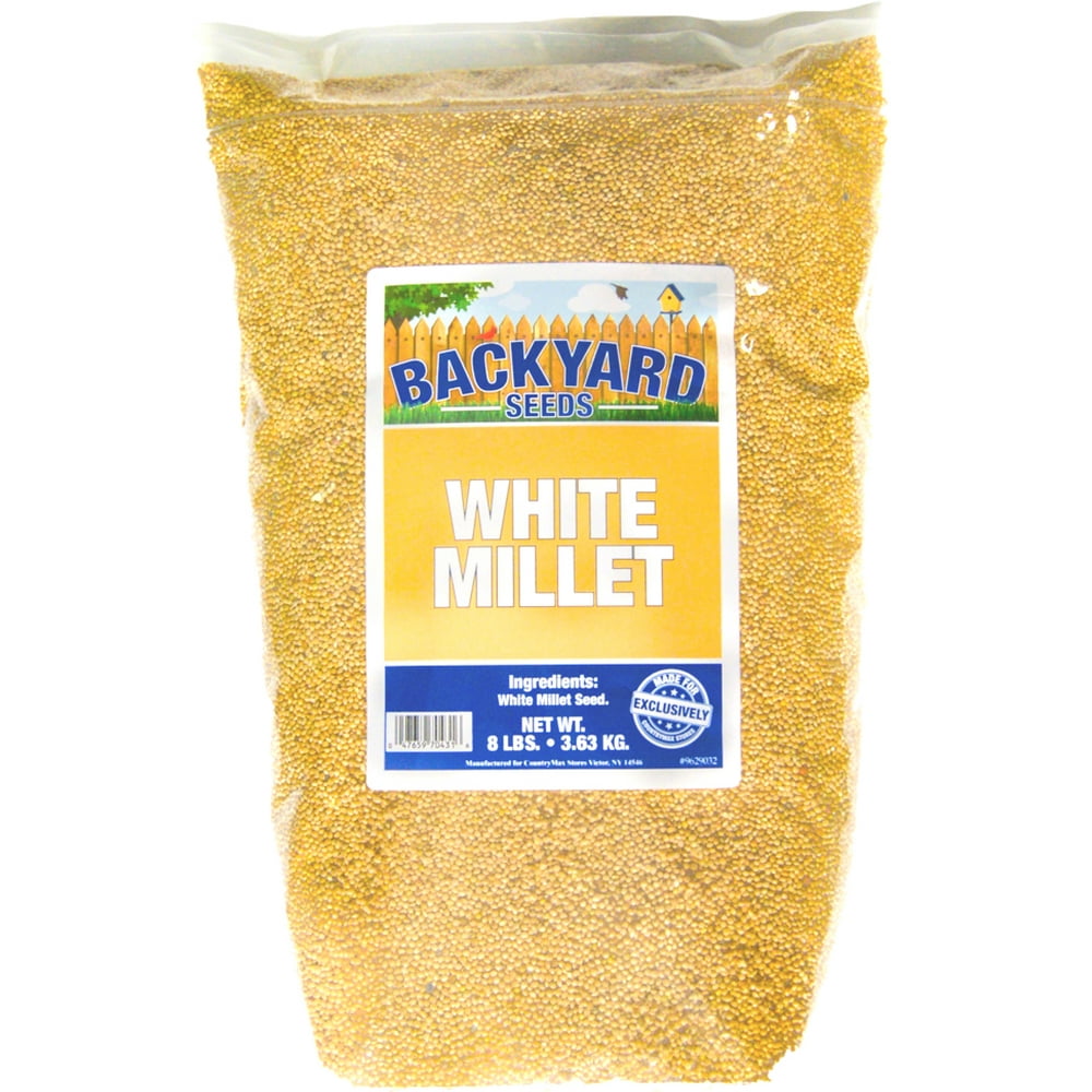 Backyard Seeds White Millet 8 Pounds