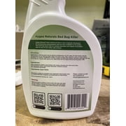 Hygea Natural Bed Bug Spray Killer, Flea Spray for Home & Insect Killer, Regular, 24 fl oz