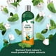 thumbnail image 4 of Champú para perros Vet's Best Flea and Tick Advanced Strength 355 ml, 4 of 7