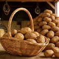 thumbnail image 3 of RICHMJ Handwoven Wicker Harvest Basket With Handle,11in Portable Rustic Storage Basket, Decorative Basket for Flowers Vegetables Picnic Use (B), 3 of 5