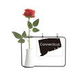 thumbnail image 1 of Connectic America USA Map Outline Artificial Rose Flower Hanging Vases Decoration Bottle, 1 of 3
