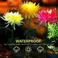thumbnail image 3 of Lámpara Solar de crisantemo, 2 uds., luz de jardín, flores artificiales, césped, paisaje, jardín, decoración exquisita, creativa Iluminación y accesorios Crisantemo blanco Crisantemo Blanco Bearachild HA073440-01, 3 of 6