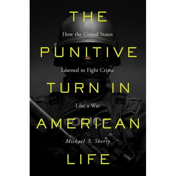 The Punitive Turn in American Life (Hardcover)