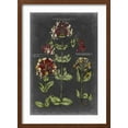 thumbnail image 2 of Art.com Vintage Botanical Chart I Art Print by Vision Studio, Brown Frame Wall Art, 17" x 23", 2 of 5