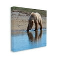 thumbnail image 3 of Stupell Industries Grizzly Cub in Stream Animals & Insects Photography Gallery Wrapped Canvas Print Wall Art, 36 x 36, 3 of 7
