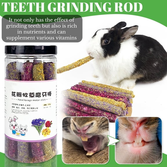 Small Glass Jar with Lid, Petal Forage Molar Sticks for Rabbits, Guinea Pigs & Small Pets, Bunny Treats for Rabbits, Clear Container with Lid, 1 Count