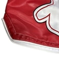 thumbnail image 6 of Fluory Cortex Muay Thai Embroidered Shorts Leather Cool Training Fitness Gymwear for Men, 6 of 6