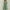B15 Green plus size summer dresses Clearance Under $5, variant on Fashion Flash Deals Cagogo Women's Casual Flowy Swing Pleated Lace Eyelet Embroidery Maxi Dress Clearance Under $10 Summer Spring Short Sleeve Party Dresses Button V Neck Elegant Black Church Dress