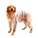 thumbnail image 1 of Chubasqueros para perros, chubasquero impermeable, ropa de lluvia ligera ajustable para mascotas, poncho con capucha para perros grandes(XL), 1 of 5