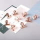 thumbnail image 1 of Clip con chincheta (30 latas de oro rosa) Ormromra CZBG-ZC50-3, 1 of 6