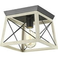 thumbnail image 1 of Progress Lighting P350022-143 Briarwood One-Light Flush Mount, Graphite, 1 of 10