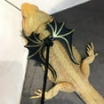 thumbnail image 4 of Almencla Laisse pour Dragon Barbu 2x avec Harnais Sangle pour Reptile Tortue, 4 of 8