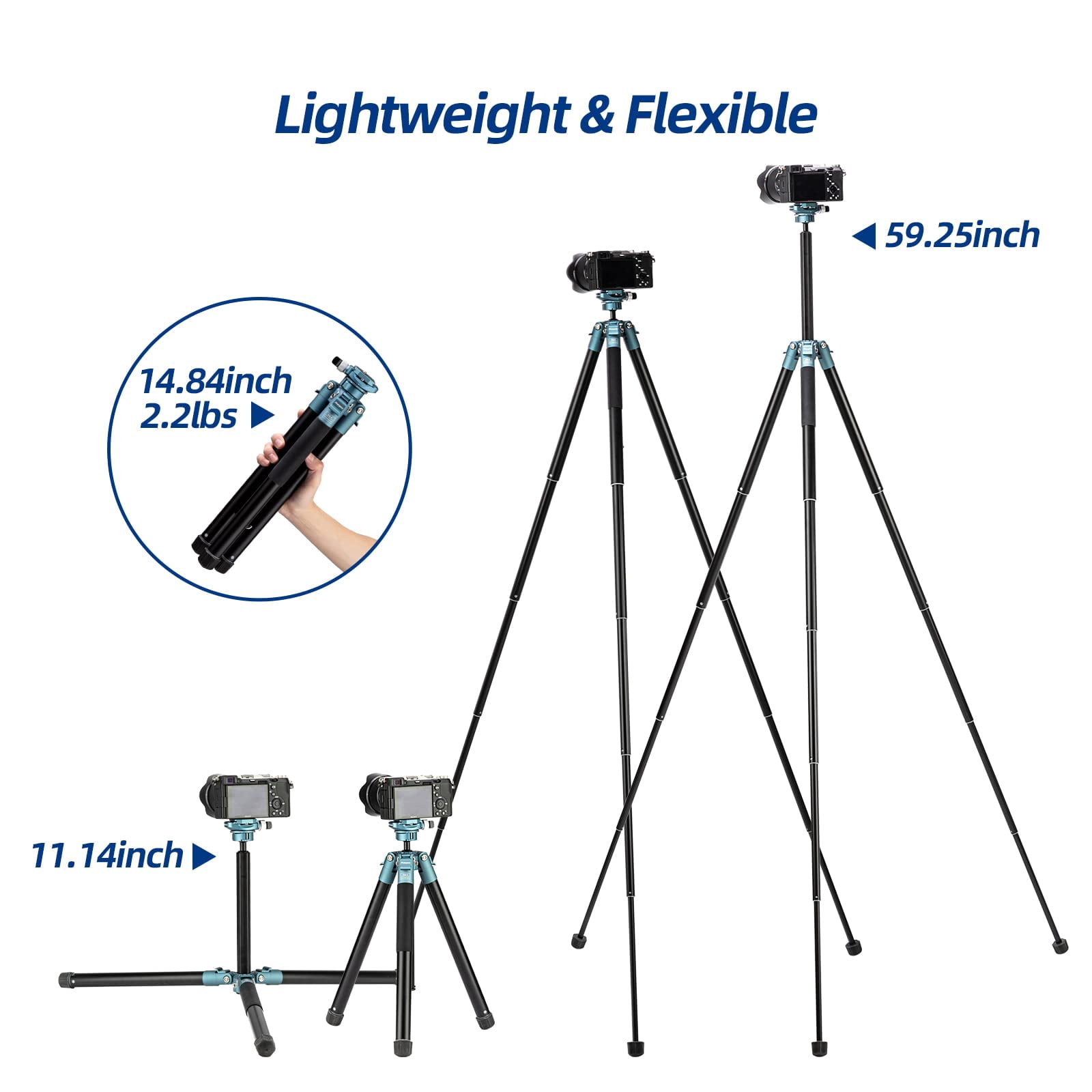 Fotopro 59 Inch Aluminum Portable Tripod, 360 Degree Ball Head DSLR Quick Release Plate Lightweight Camera Tripod for Travel, Blue