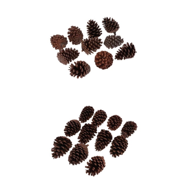 20Pcs Naturales Pequeñas de Pino Sueltas para Adornos de Decoración
