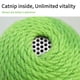 thumbnail image 4 of Gato de cactus que atrapa la pelota, juguete deportivo para gatito, pelota de juguete interactiva para gato y gatito, 4 of 7