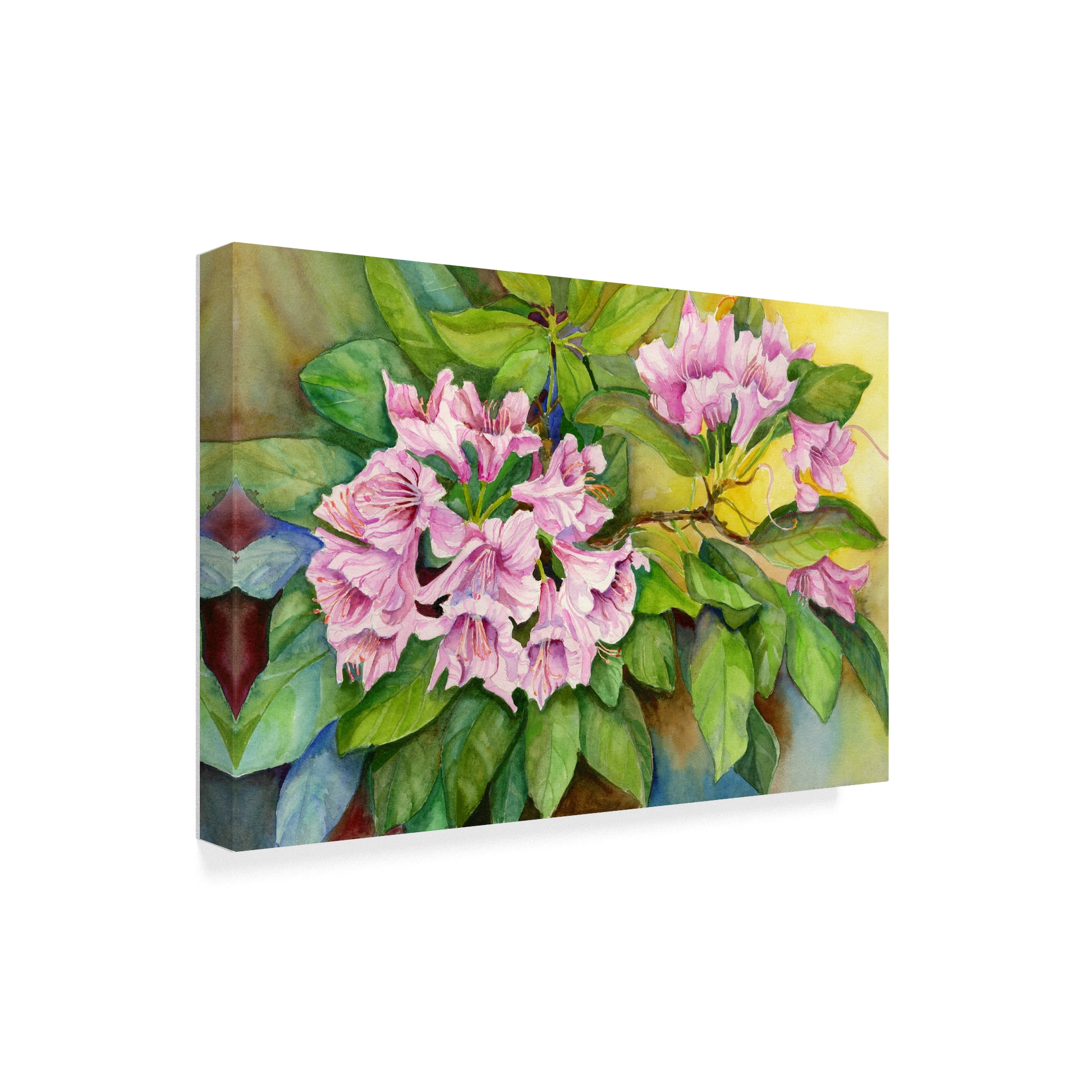 Trademark Fine Art 'Pink Sunlit Azalea' Canvas Art by Joanne Porter