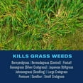 thumbnail image 2 of BioAdvanced Extreme Crabgrass Killer, Ready-to-Spray, 32 oz, 5,000 Sq Ft, 2 of 6