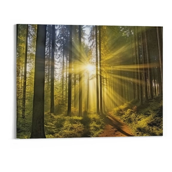 COMIO Green Nature Wall Art for Living Room 20x16 Forest Landscape Canvas Pictures Wall Decor Vintage Sunrise Tree Mountain Scenery Prints