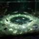 thumbnail image 5 of Arena que brilla en la oscuridad para paisajismo de acuarios: grava fluorescente para la decoración de bordes de jarrones, piedras luminosas para el sustrato de peceras, decoración del hogar., 5 of 6