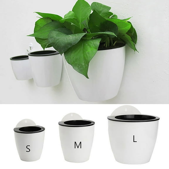 Meidiya Wall Mounted Planter Round Resin Hanging Plant Holder Decorative Flower Display Vase Succulent Pots for Indoor Plants