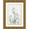 thumbnail image 1 of Artographie Studio 17x24 Gold Ornate Wood Framed with Double Matting Museum Art Print Titled - Eucalyptus Creative 15, 1 of 4