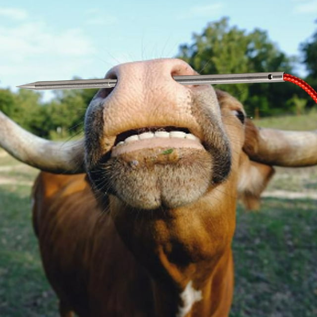 304 Stainless Steel Cow Nose Piercing Needle, Large Needle Hole Diameter, Anti Slip Grooves, Exquisite Workmanship, for Punching Holes and Wearing Nose Rings