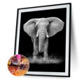 thumbnail image 2 of Kit de pintura 5D DIY Elefante Mosaico de diamante redondo completo Hugtrwg Para estrenar, 2 of 9