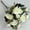White-WH-home Fournitures, variante sur ABPWLY Fleur Simulée Décoration Maison Mariage Fleur Portative Guide de Route Mur Articles de Maison de Fleurs Artificielles Canada Days Articles de Maison de Pâques