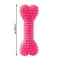 thumbnail image 3 of YfiDSJFGJ 2Pcs Bite-Resistant Rubber Toothbrush Toys, Dog Chew Toys ,4.33 Inch Bone Shape for Small and Medium Dogs, 3 of 6