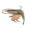 Green Shrimp, variant on AYYUFE High Simulation Shrimp Squid Ocean Animal Model Figurine Table Kids Toy