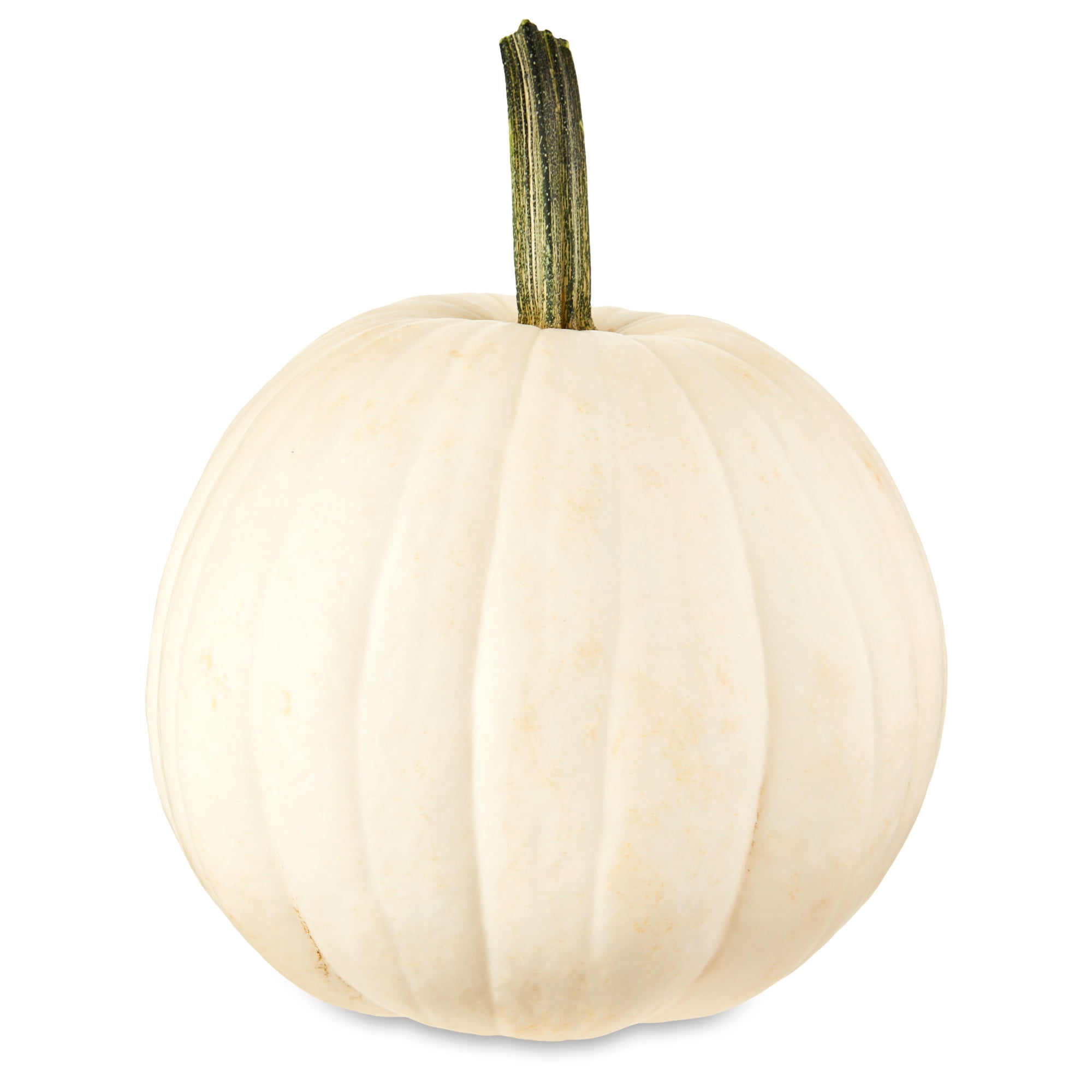 Fresh White Pumpkin, Each
