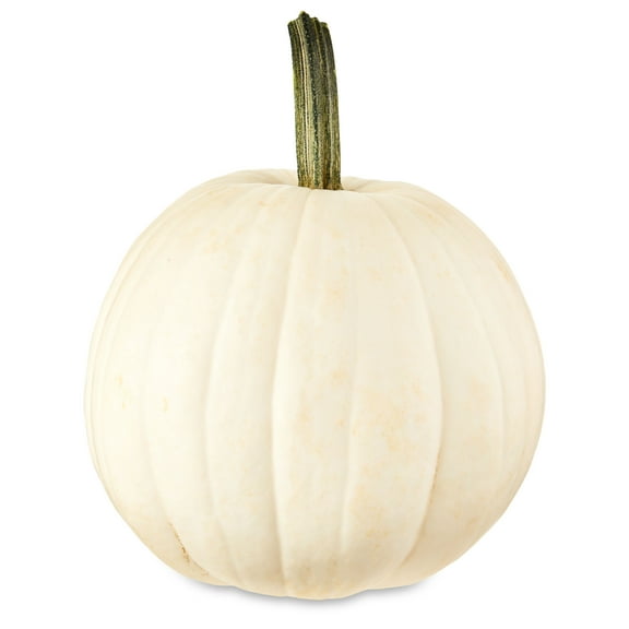 Fresh White Pumpkin, Each