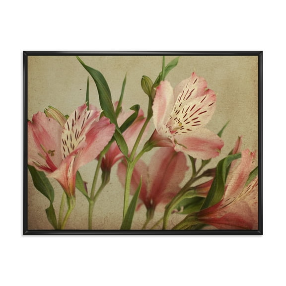 Designart 'Alstroemeria Flower Retro ' Traditional Framed Canvas Wall Art Print