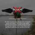thumbnail image 5 of Avian X PowerFlight Smart Motion Mallard Weatherproof Realistic Decoy, 5 of 11