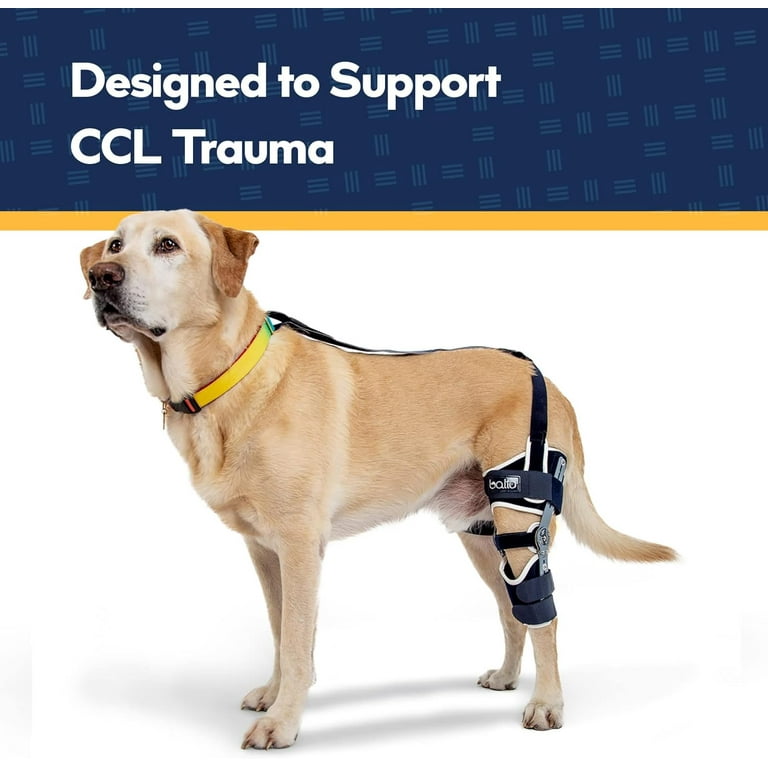 Balto dog knee brace hotsell