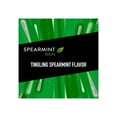 thumbnail image 4 of Wrigley's 5 Gum Spearmint Rain Sugar-free Gum (35 ct., 6 pks.), 4 of 5