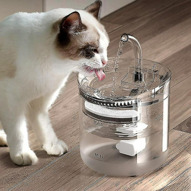 Cat water top fountain walmart canada