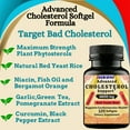thumbnail image 5 of Nikoni Advanced Cholesterol Support 3600 mg Plant Sterols 14-in-1 Formula 120 Softgels, 5 of 10