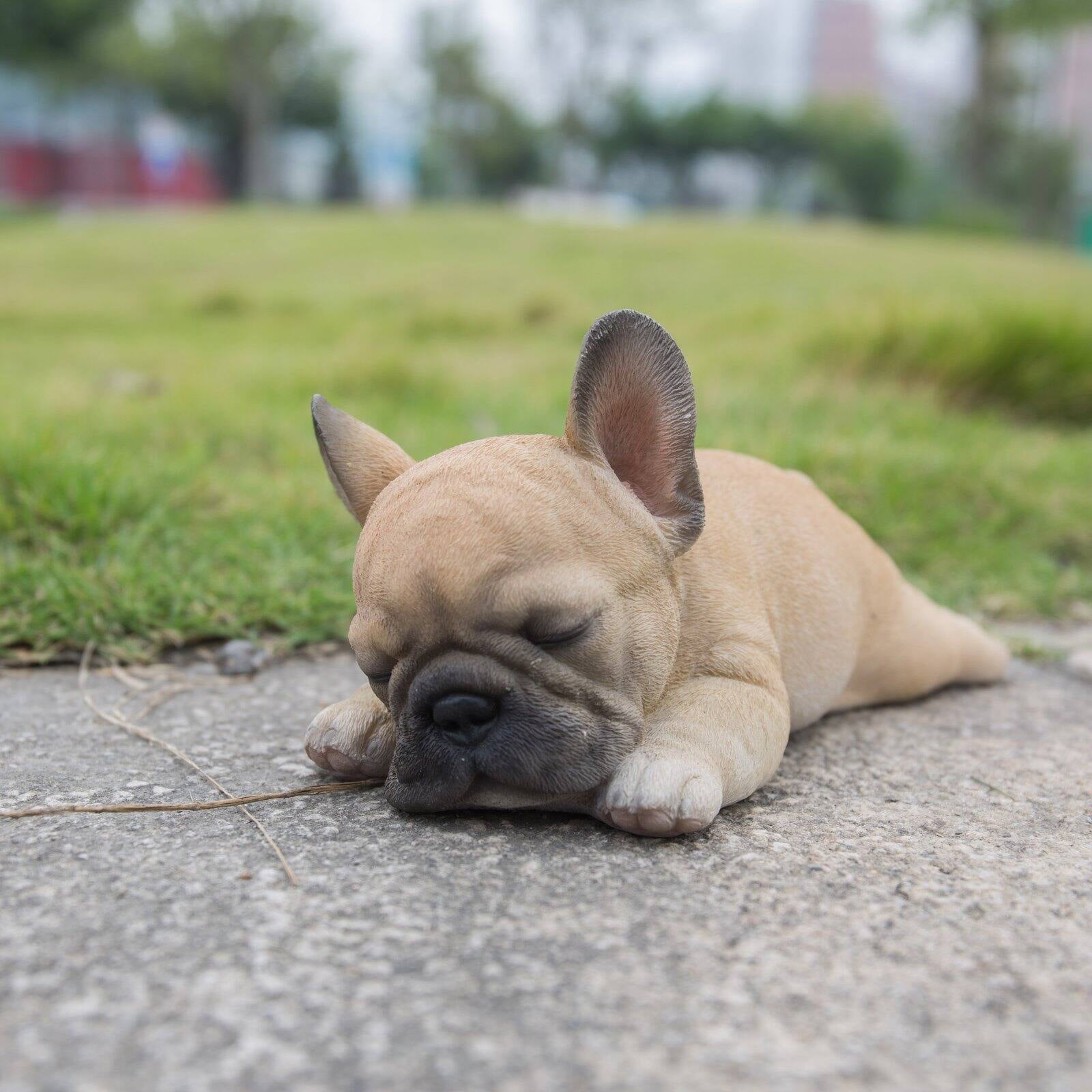FRENCH BULLDOG PUPPY DOG FIGURINE STATUE RESIN PET 8.5/" L SLEEPING ON SIDE NEW
