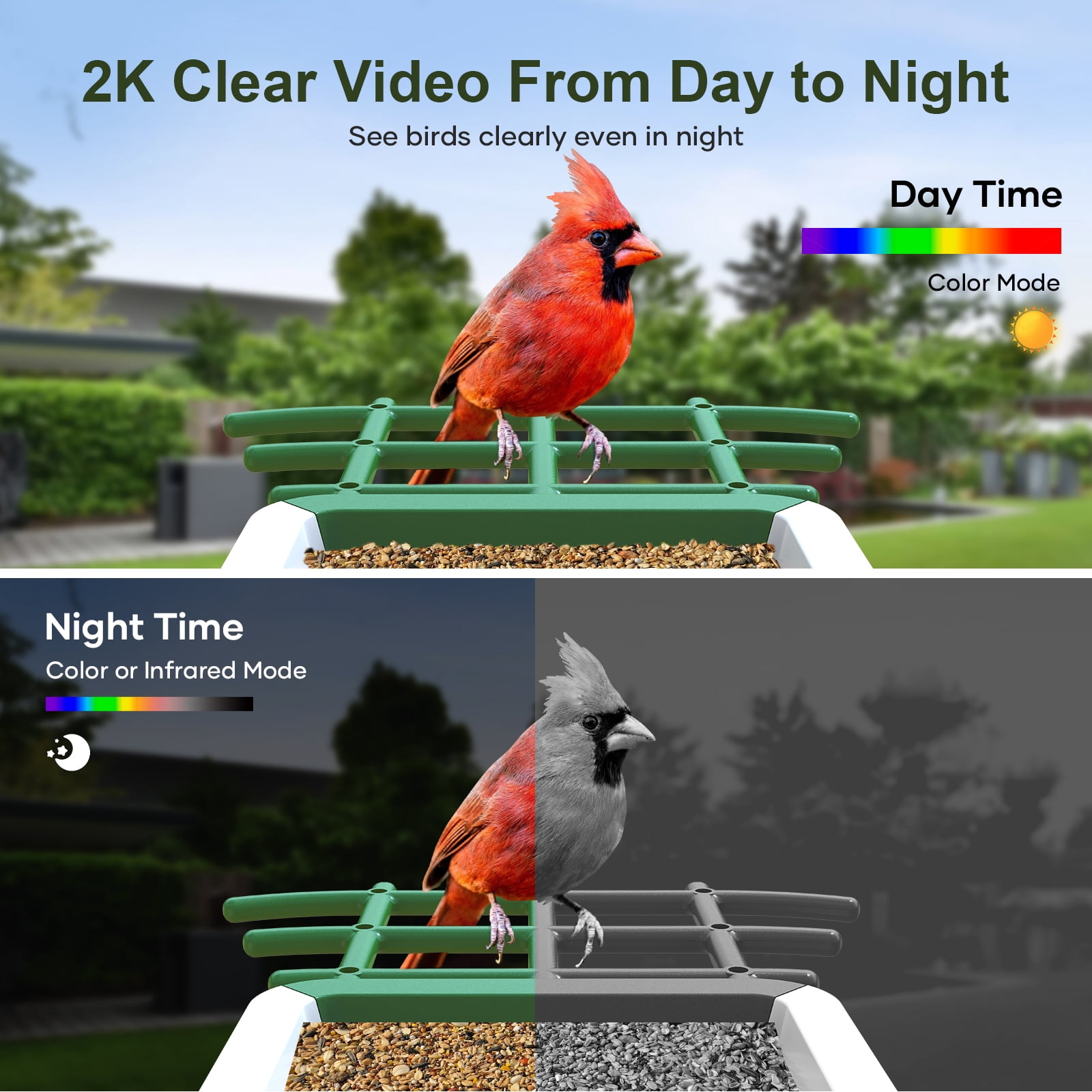 Smart Bird Feeder with Camera, Solar Powered Birdhouse Camera with AI Bird Recognition, Outdoor Wireless WiFi Bird Feeder with Live Video, Fun Gift for Mom, Grandma, Daughter
