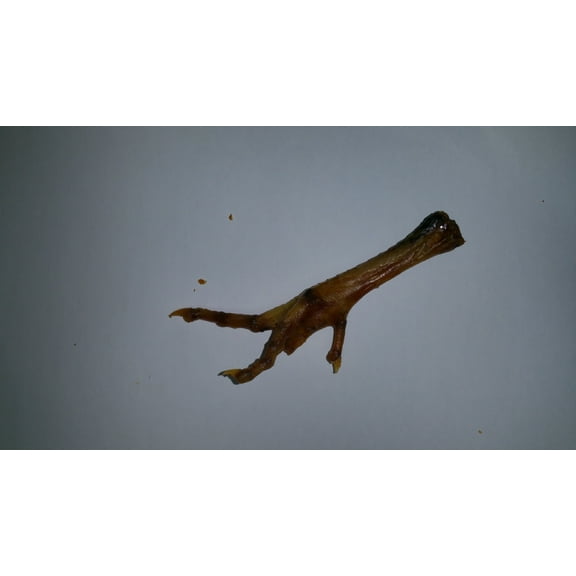 ChewMax Chicken Feet Dog Chews