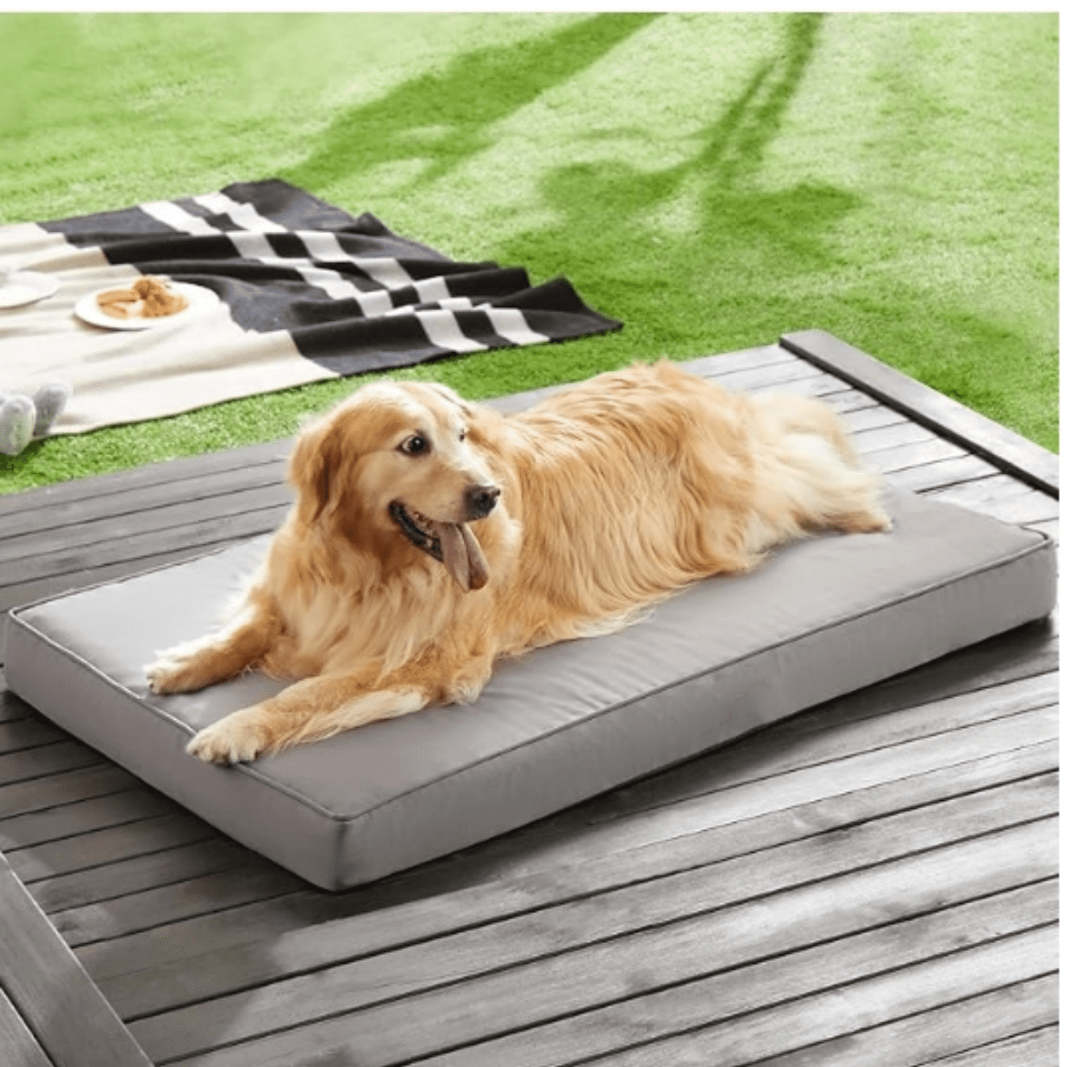 Outdoor Dog Beds for Large Dogs, Waterproof Dog Bed for Medium, Large, Extra Large Dogs, Orthopedic Pet Bed with Removable Washable Cover, Egg Crate Foam Pet Bed Mat. (36 x 27 in, Grey)