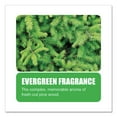 thumbnail image 6 of Non-Para Toilet Bowl Block, Lasts 30 Days, Evergreen Scent, White, 12/Box, 6 of 6