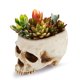 thumbnail image 5 of Calavera hueca aterradora para Halloween, maceta de resina de hollín seco, simulación de calavera, 6.75 pulgadas, estatua de calavera hueca de cerámica, maceta de resina (calavera desnuda), beige JAMW Sencillez, 5 of 5