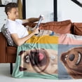 thumbnail image 2 of Manta de franela suave y acogedora, ligera y lisa, para mujeres, hombres, niños, niñas y niños, para cama, sofá, dormitorio, sala de estar, viajes, camping, decoración, 30 x 40 pulgadas, 2 of 8